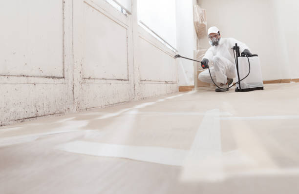 24/7 Emergency Attic Mold Removal experts in Maple Shade, NJ